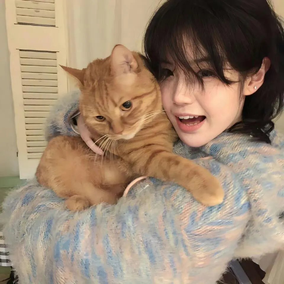 报告王爷，王妃是只猫2